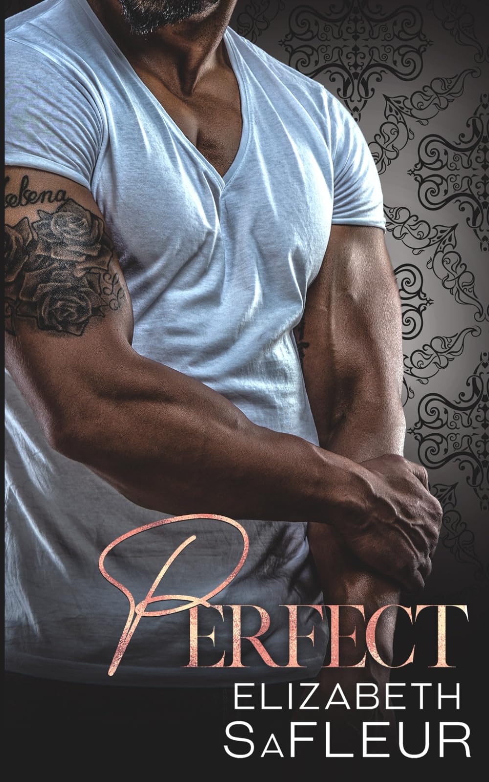 Perfect: 3 (Elite Doms of Washington)
