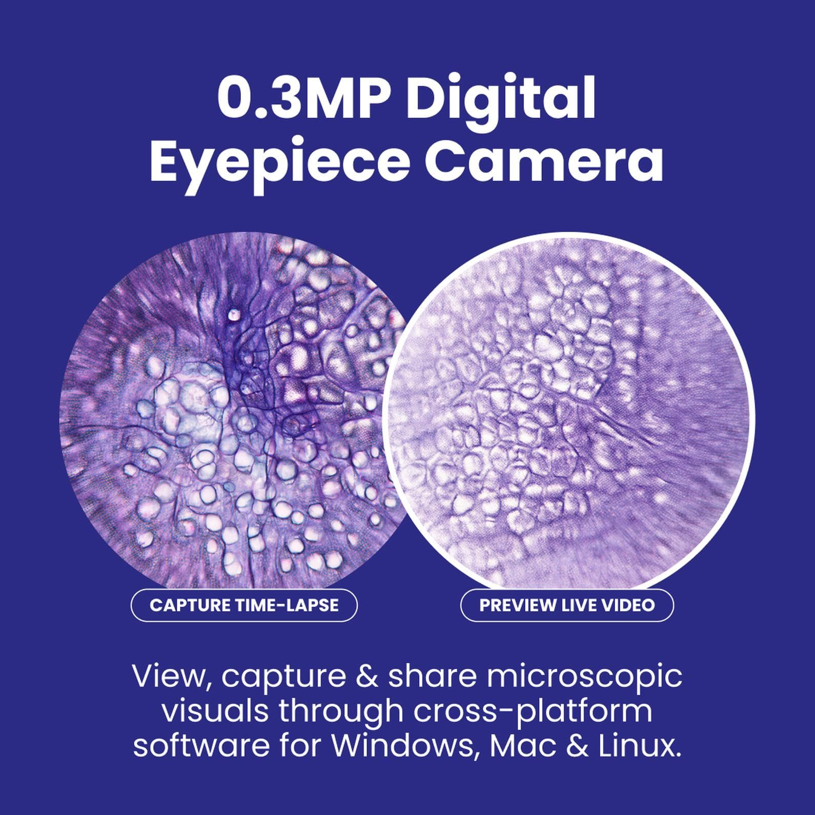 Amazon.co.jp: AmScope 3Dステージ+ USBカメラと40X-2500X LEDデジタル