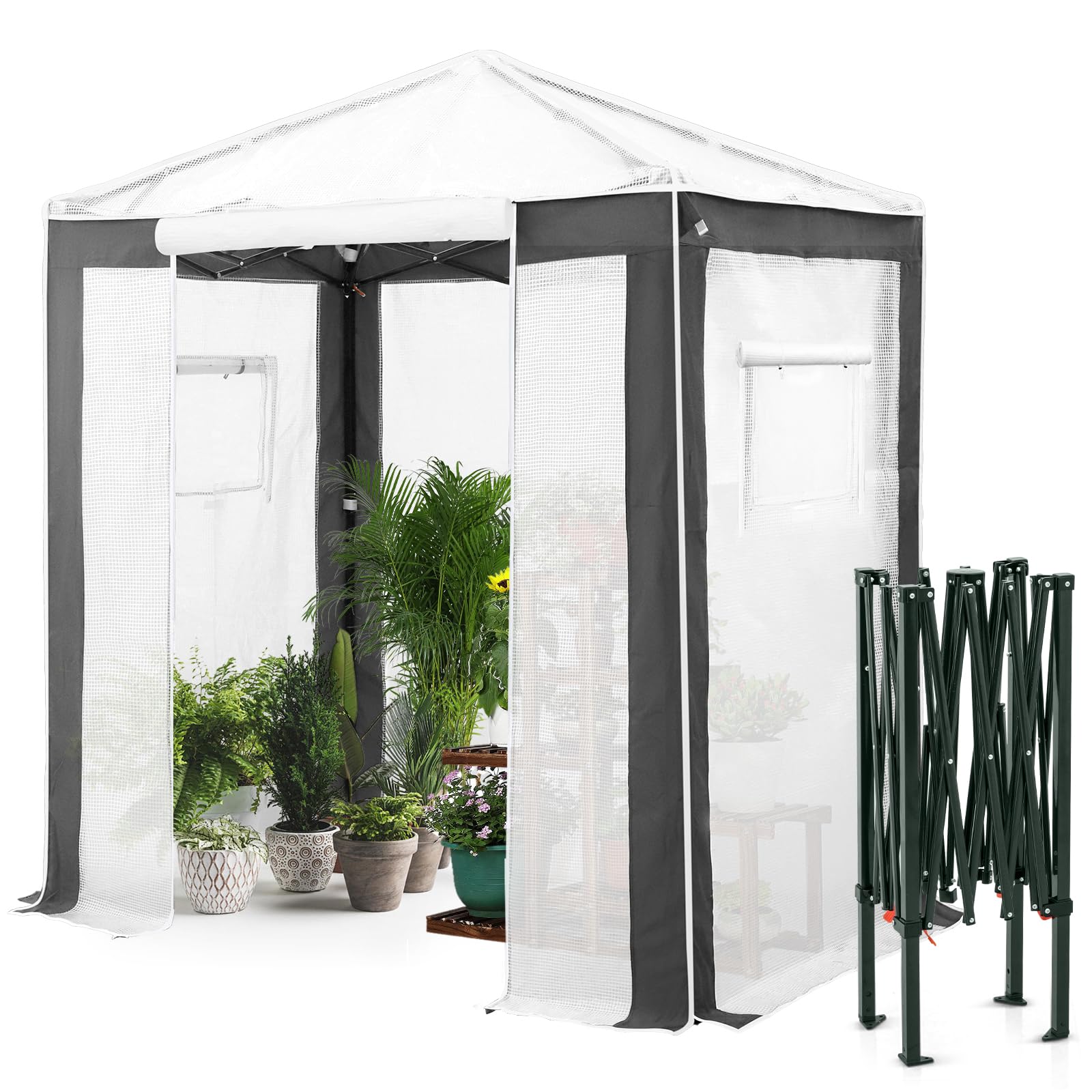 EAGLE PEAK 6x4 Pop Up Greenhouse
