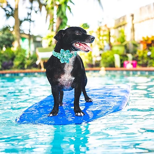 Miniatura 6 de Lionheart glory Collar de perro con flor, collar de perro azul con flores, collar de verano para perro niño o niña, suave, duradero, ajustable,