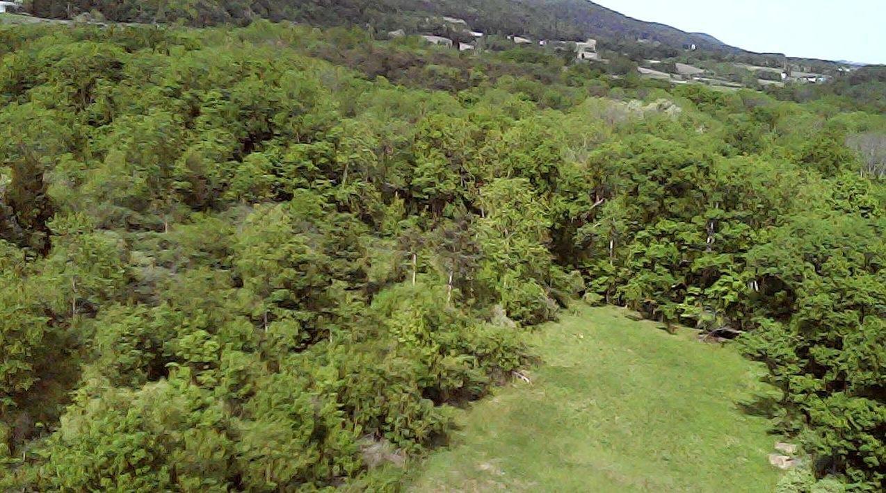 Worth Every Penny If You Fly Responsibly