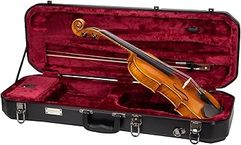 Amazon.com: Crossrock ABS Oblong 4/4 Violin Case | Black Hardshell