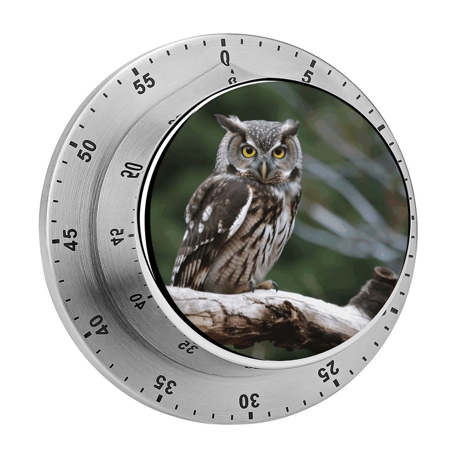 Mechanical Kitchen Timer with Magnetic Back, Stainless Steel Manual Wild Owl Birds Printed Timer for Cooking and Time Management