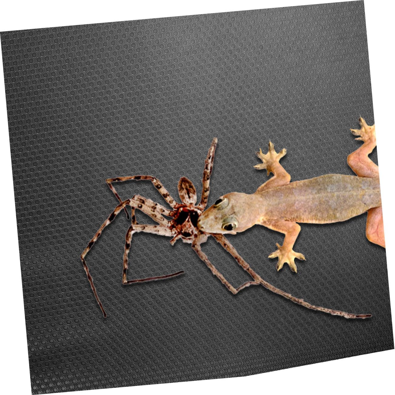 Reptile Carpet for Snake Tortoise Bearded Dragon Snake Bedding Mat Reusable Lightweight Eva Material Terrarium Liner