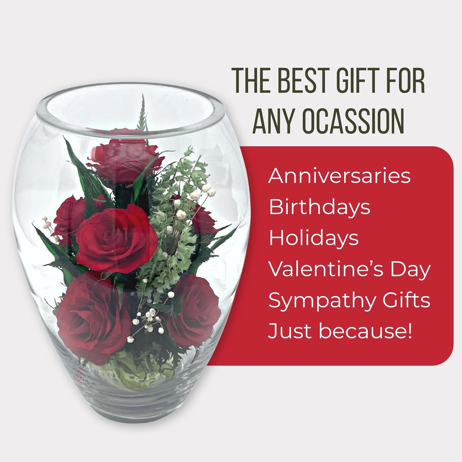 Fiora Flower | Long Lasting Real Roses in a Sealed Vase | Lasts up to 5 Years | Unique Present Gift