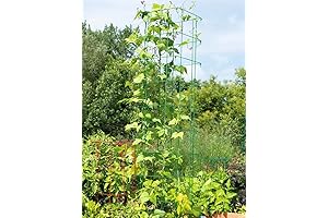 Gardener's Supply Large Bean Tower Plant Support