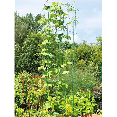 Gardener's Supply Large Bean Tower Plant Support