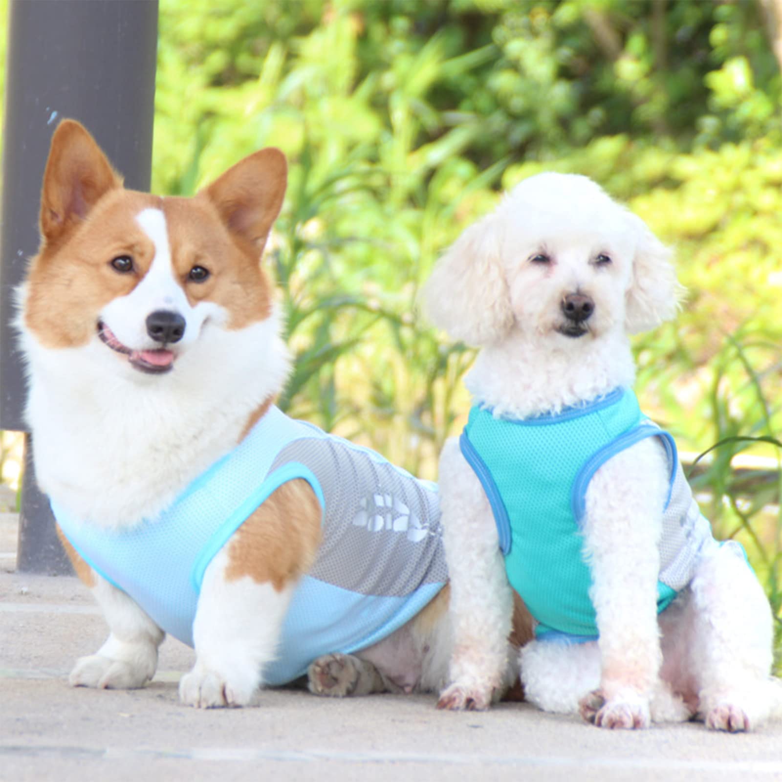 Koelvest voor honden, koelvest, ademend, mesh, honden, zomerjas, cool en comfortabel, geschikt voor grote middelgrote en kleine honden