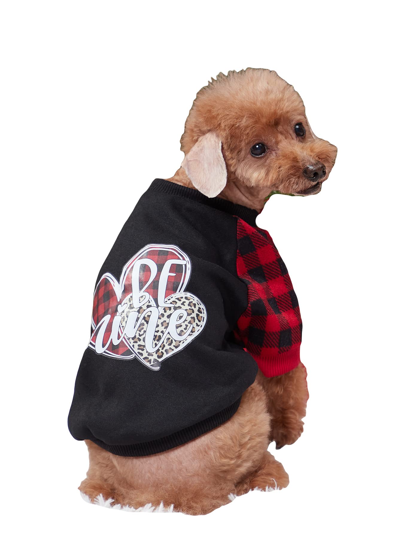 Photo 1 of 2 PAIRS OF SHIRTS FOR DOGS LARGE AND MEDIUM