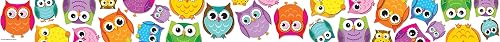Colorful Owls Borders: 3" Straight Border 36' Per Ppackage
