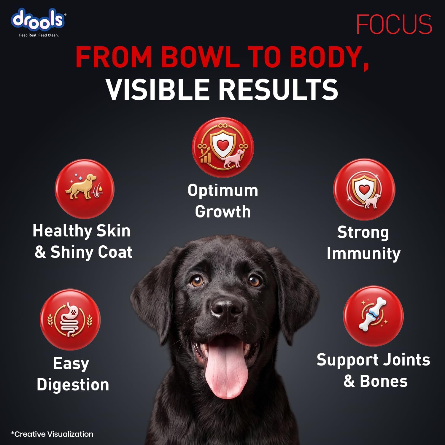 بندانگشتی Drools Focus Premium Puppy Dry Dog Food, Real Chicken, 1.2 Kg | 40% Real Chicken | DHA For Brain Development, Natural Antioxidants For Immunity, Joint & Bone Strength | Easily Digestible Kibble