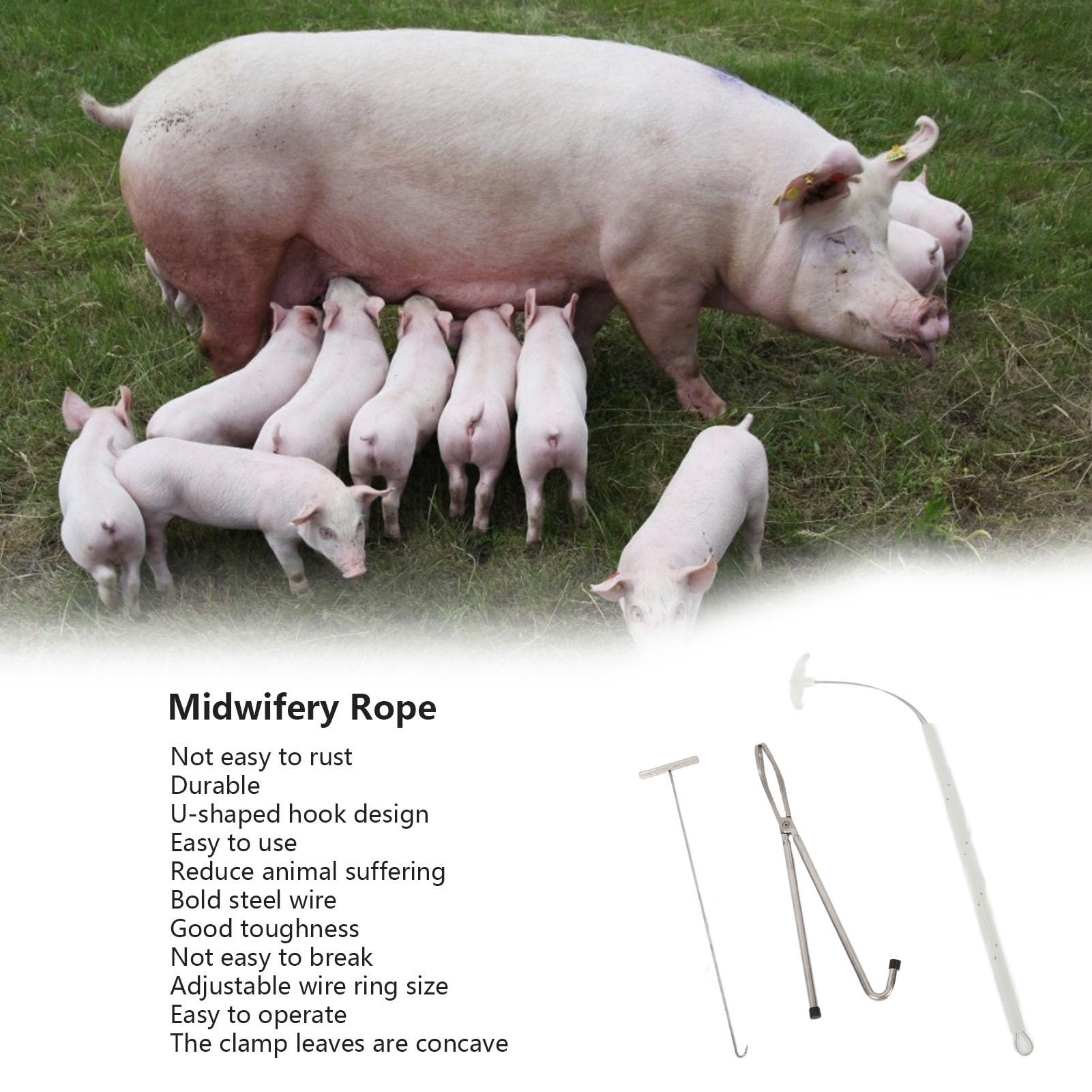 Fabater Schweine-Hebammen-Set, Werkzeuge, Edelstahl-Abferkelset für