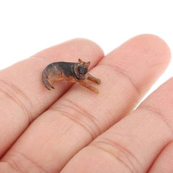Amazon | Generic 1:64スケール 動物フィギュア ミニチュア 犬