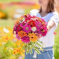 Vista 1 de Eden Brothers - Semillas de zinnia, cactus con flores, sin OMG, plantar en primavera, paquete, flores de bajo mantenimiento, zonas 3, 4, 5, 6, 7, 8