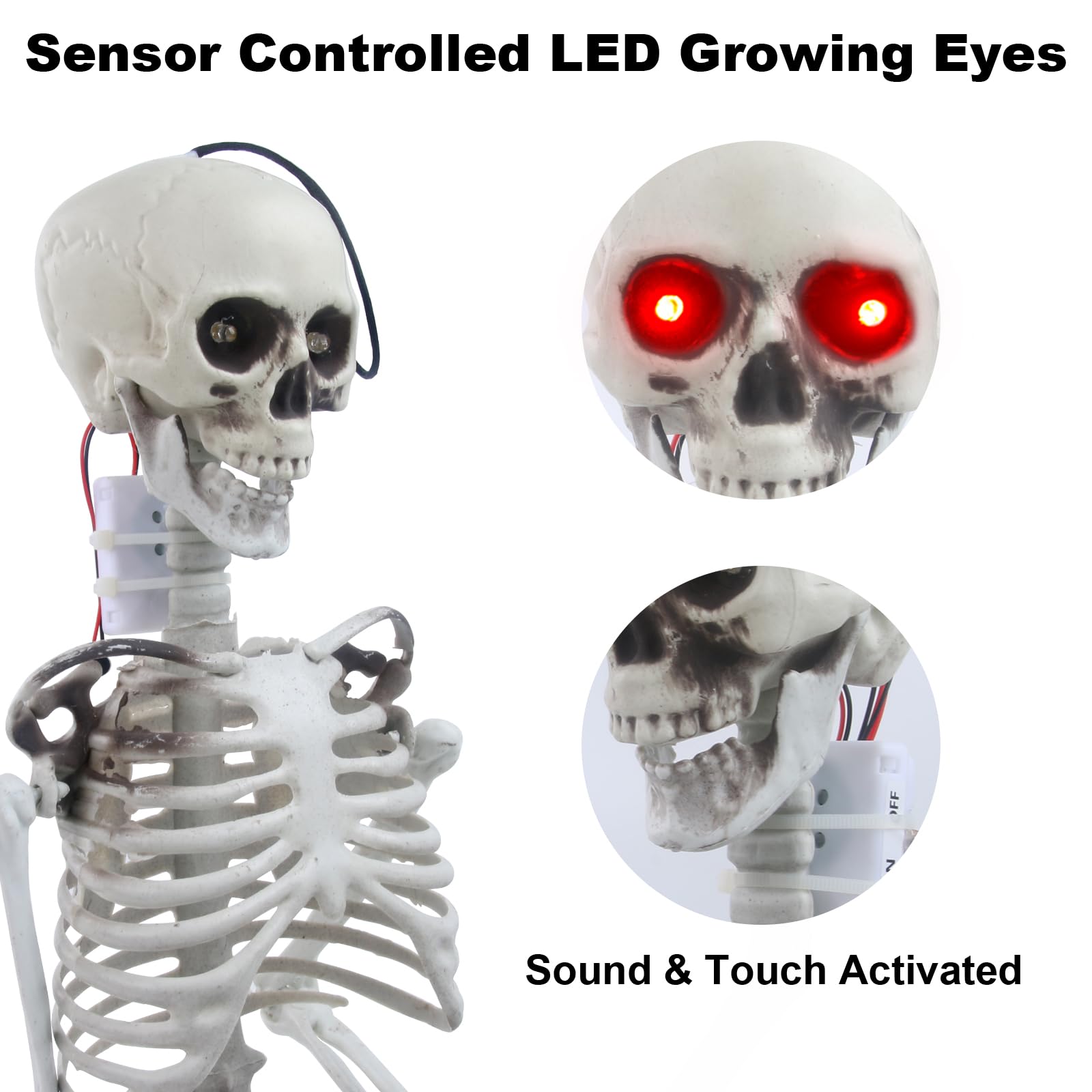 https://m.media-amazon.com/images/I/7156r7kN-eL.jpg