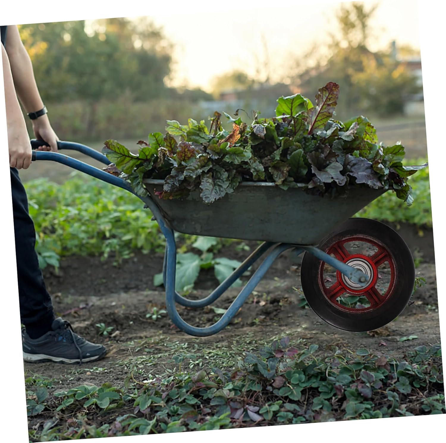 Cabilock Heavy Duty Rubber Wheel for Garden Cart Replacement Trolley Wheel for Transport for Garden Work and Outdoor Use present