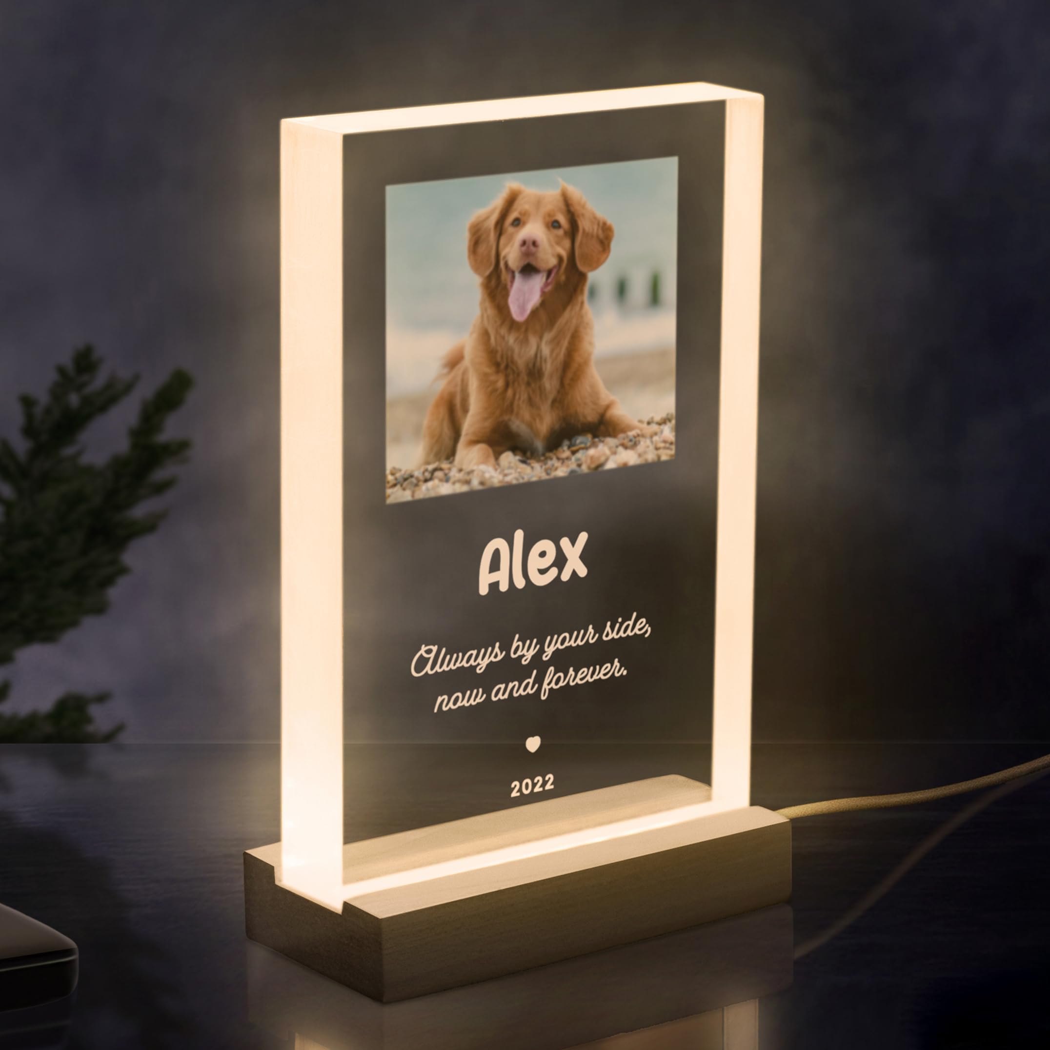 Pet Memorial Plaque – A Lasting Tribute to a Cherished Pet with Optional LED Light Stand Acrylic Photo Block, Dog Sympathy Gift