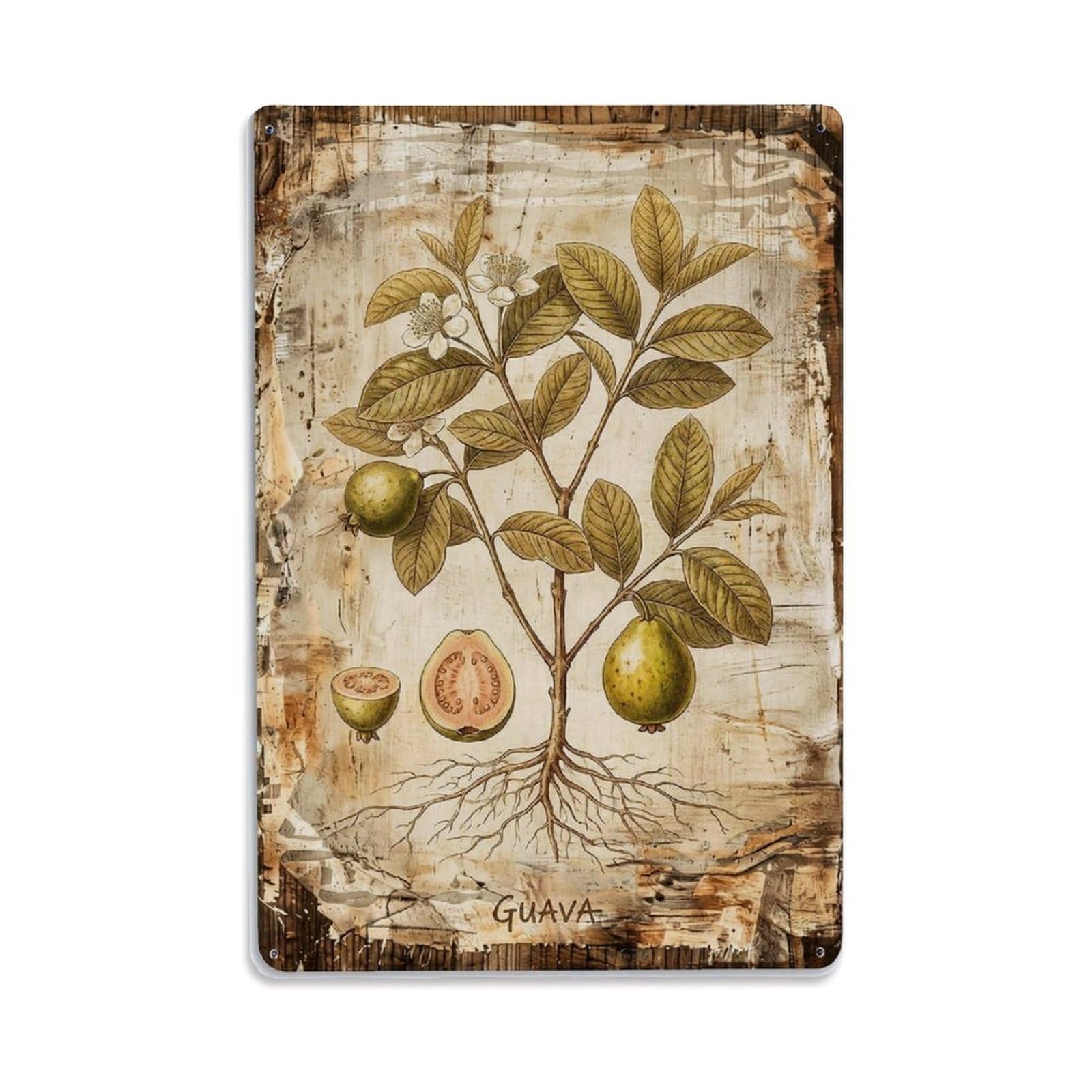 Guava Tropical Fruit Vintage Metal Tin Sign Plaque Wall Decor for Cafe, Club, Garden Metal Poster 8x12Inch