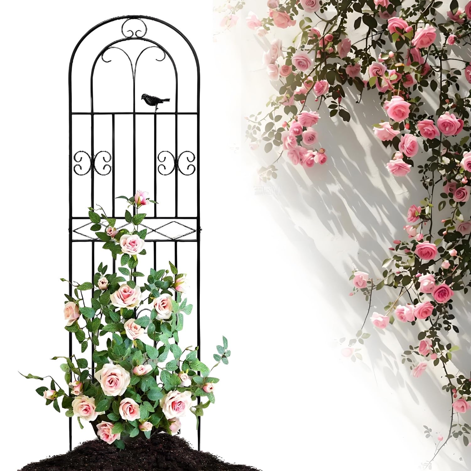 Amazon | アイアン フェンス ガーデニング 目隠し 柵 バラ トレリス 50