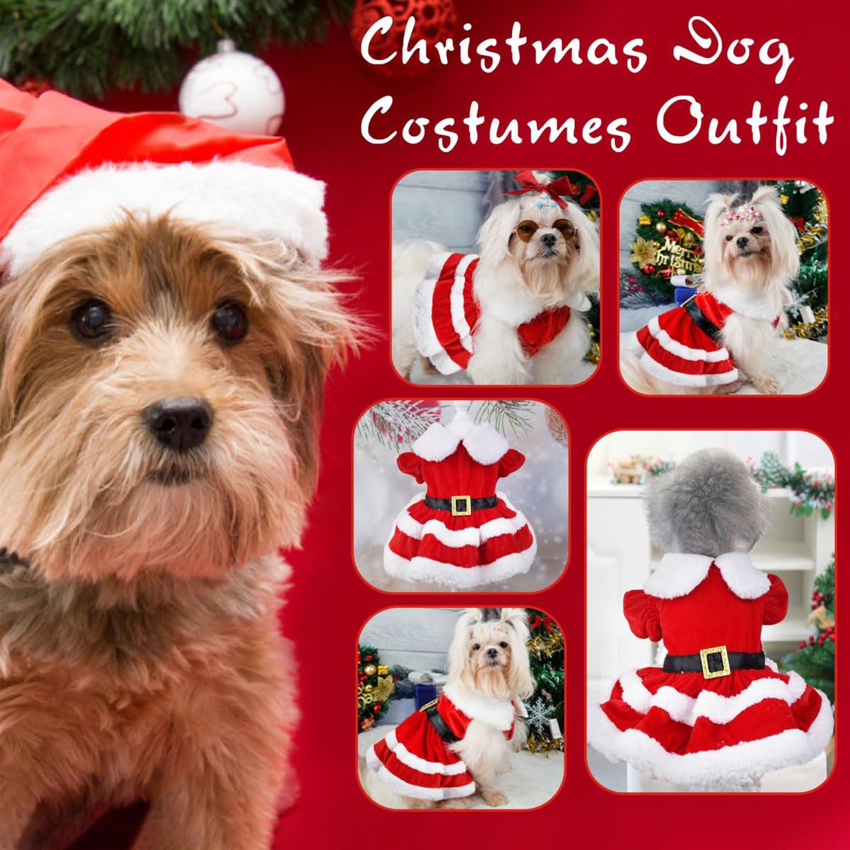 dog christmas dress medium Midlee Dog Santa Claus Costume (Small)