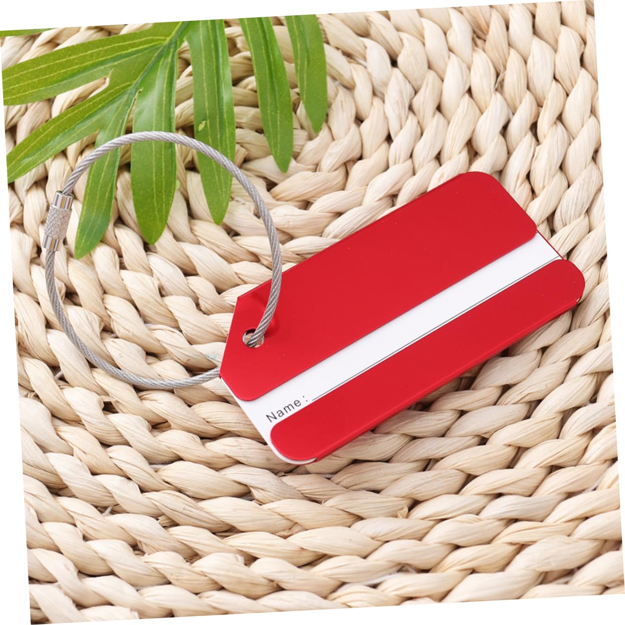 SHERCHPRY 30pezzi Etichette Per Bagaglio Alluminio Multicolore Targhette Per Valigia e Borsa Personalizzabili Con e Indirizzo Per Viaggi e Crociere Rosso