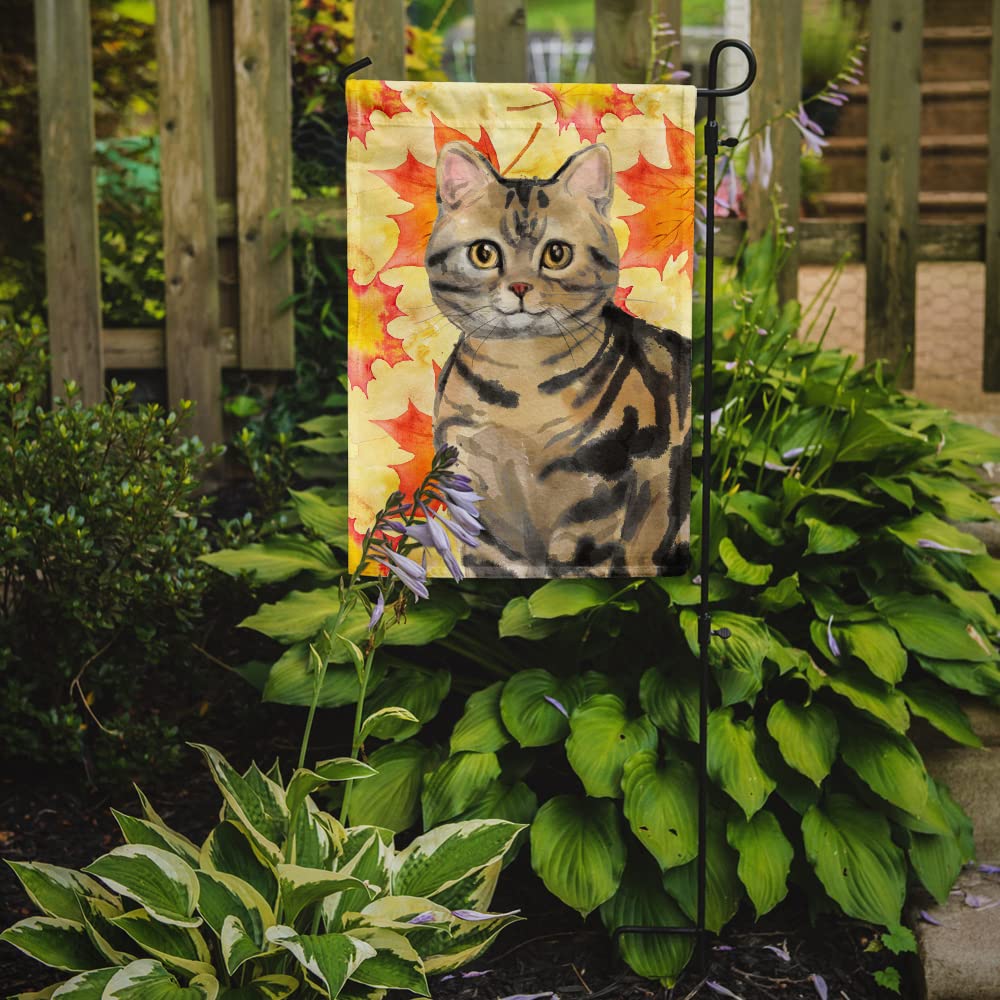 Caroline's Treasures CK3073GF American Shorthair Brown Tabby Fall Leaves Flag Garden Size , Small, multicolor