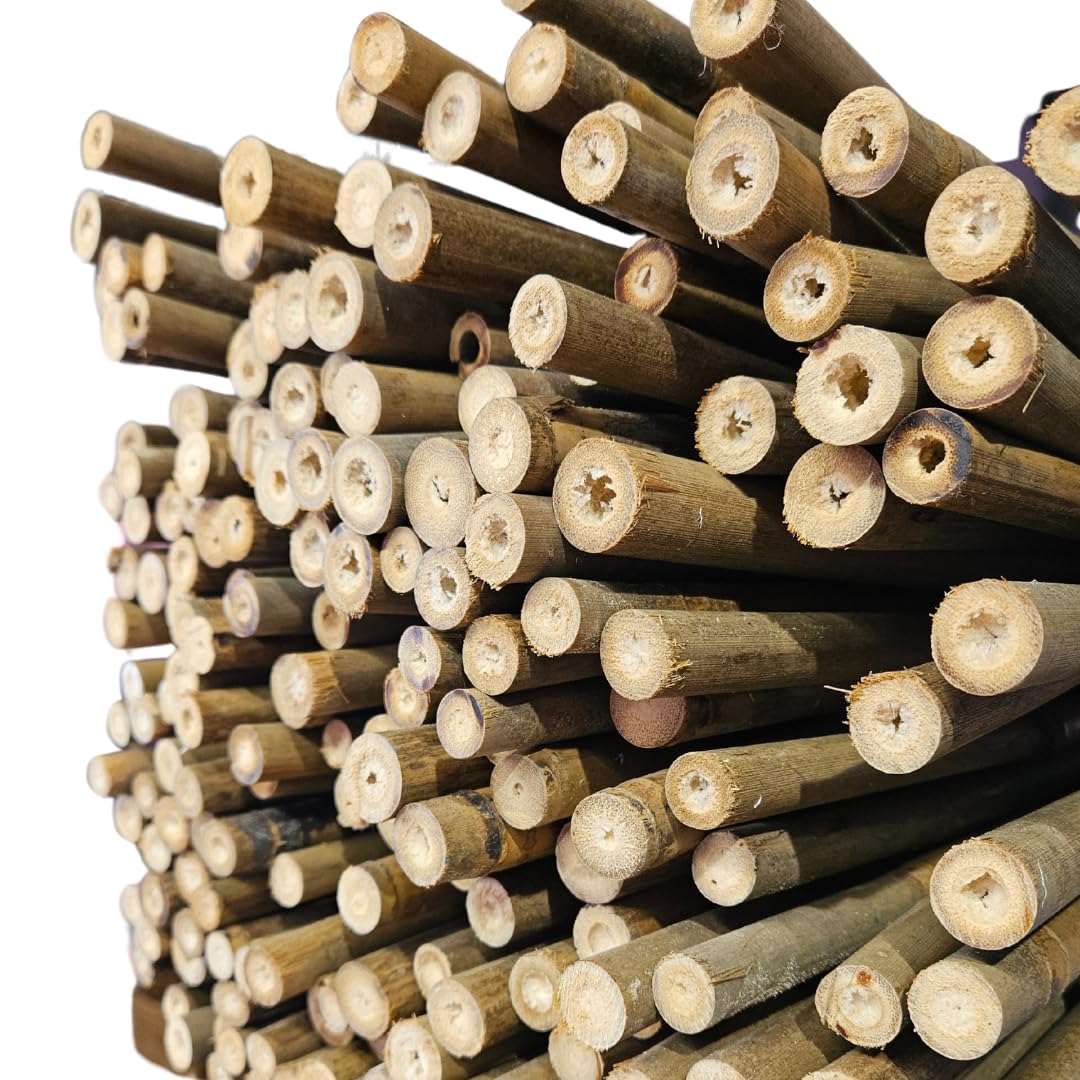 Set di 25 Tutori in Bambù Naturale – Pali per Pomodori, Sostegni per Piante da Interno ed Esterno – Bastoni per Orto e Giardinaggio – Lunghezze da 90 a 240 cm (H cm 210 X Ø mm 16-18)
