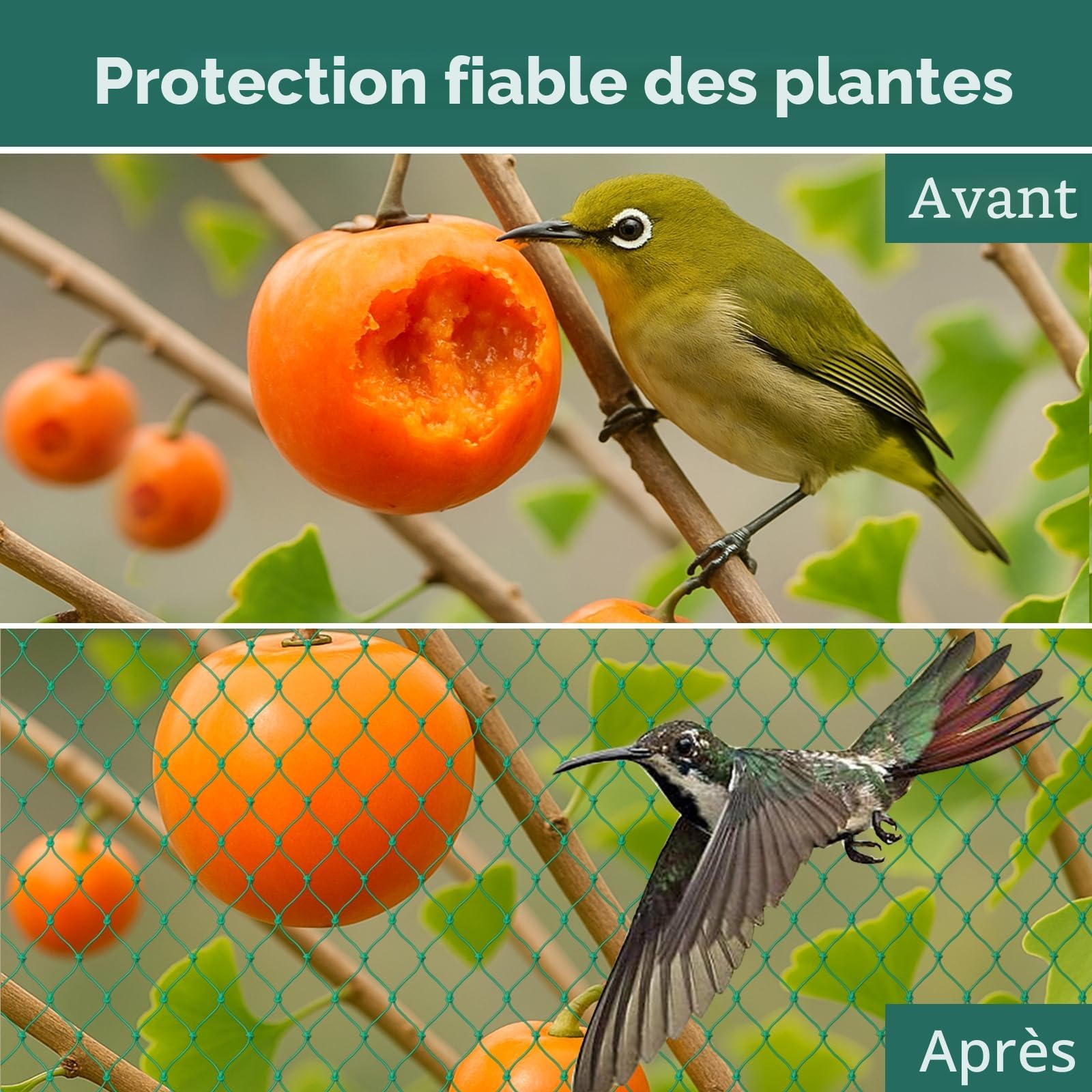 Filet Anti Oiseaux, Filet Poules, Filets pour Jardin, Filet à Volaille, Protection des Fruits, Maille 4 cm, Résistant aux UV, Robuste et Réutilisable (36 Fils-1.5m*20m)