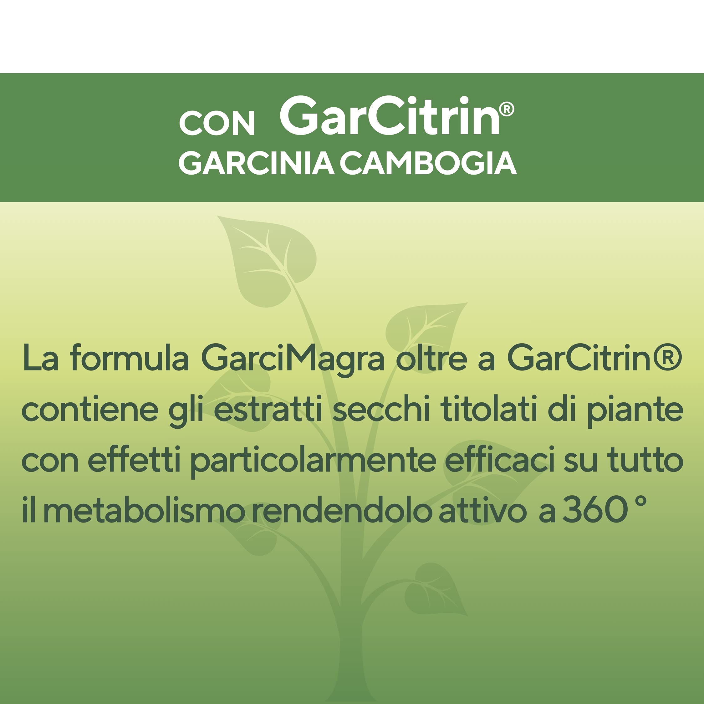 SEB - Garci Magra - Integratore alimentare di Garcinia Cambogia ad alto dosaggio. Prodotto in Italia, 100% naturale. Formula potenziata Garcitrin. HCA 60% + Garcinolo 5%