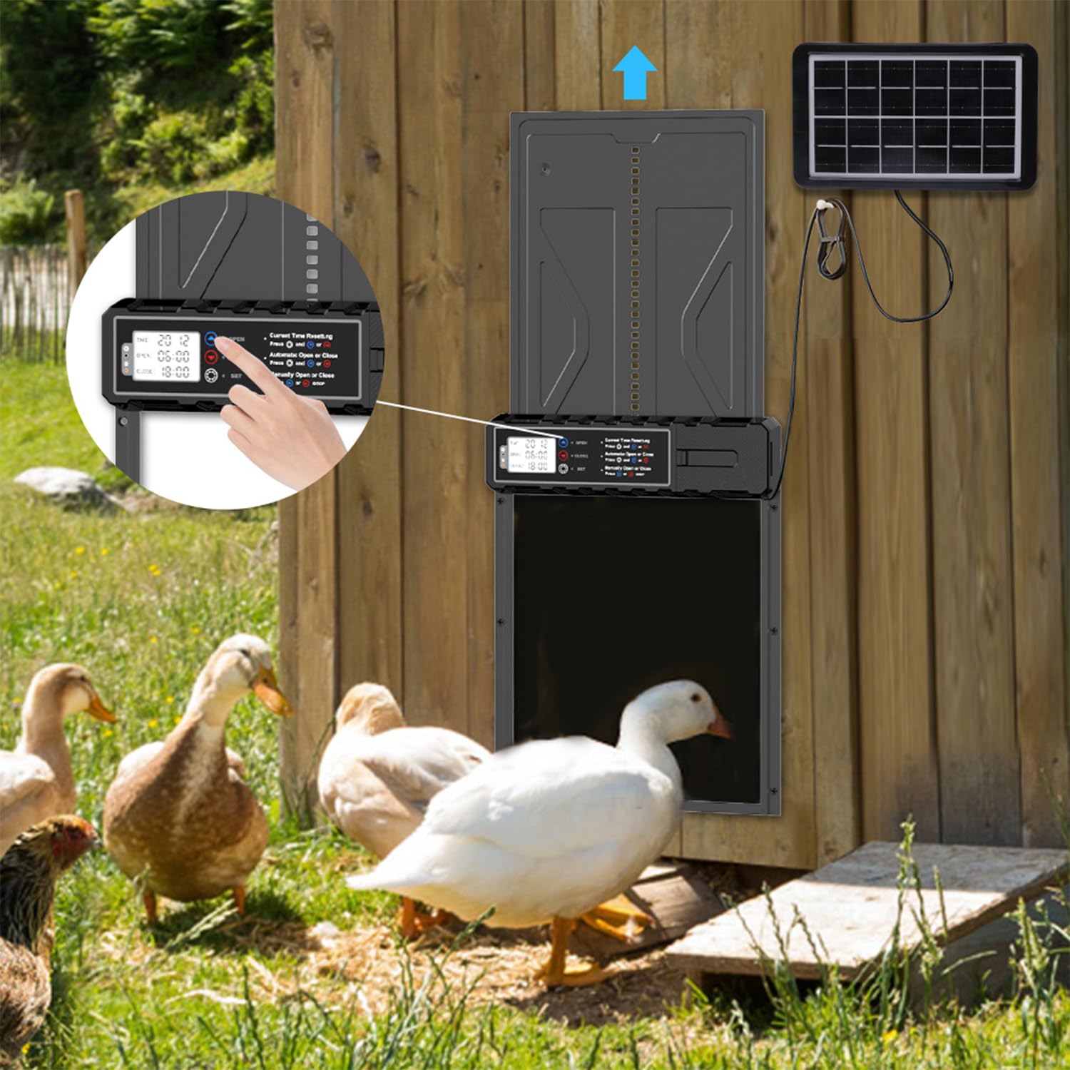 Fiqops Aluminum Automatische Hühnerklappe Solar, Elektrische Hühnerklappe Hühnertür mit Wasserdicht Großes Display, Timer, Intelligenter Einklemmschutz, Schwarz