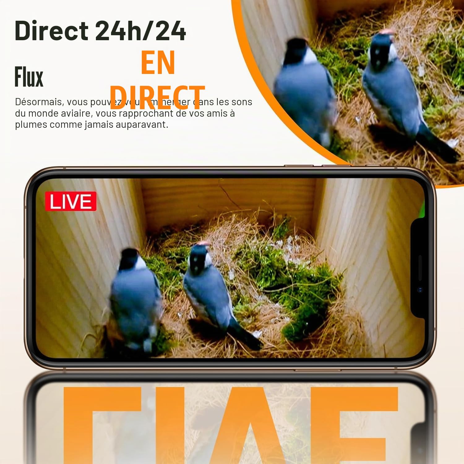 Nichoir à Oiseaux avec Caméra HD 4MP, Nichoir pour Jardin, Résistant aux Intempéries, WiFi 2,4G et Notification d'application, Surveillance de Nidification et d'éclosion, Enregistrement Automatique