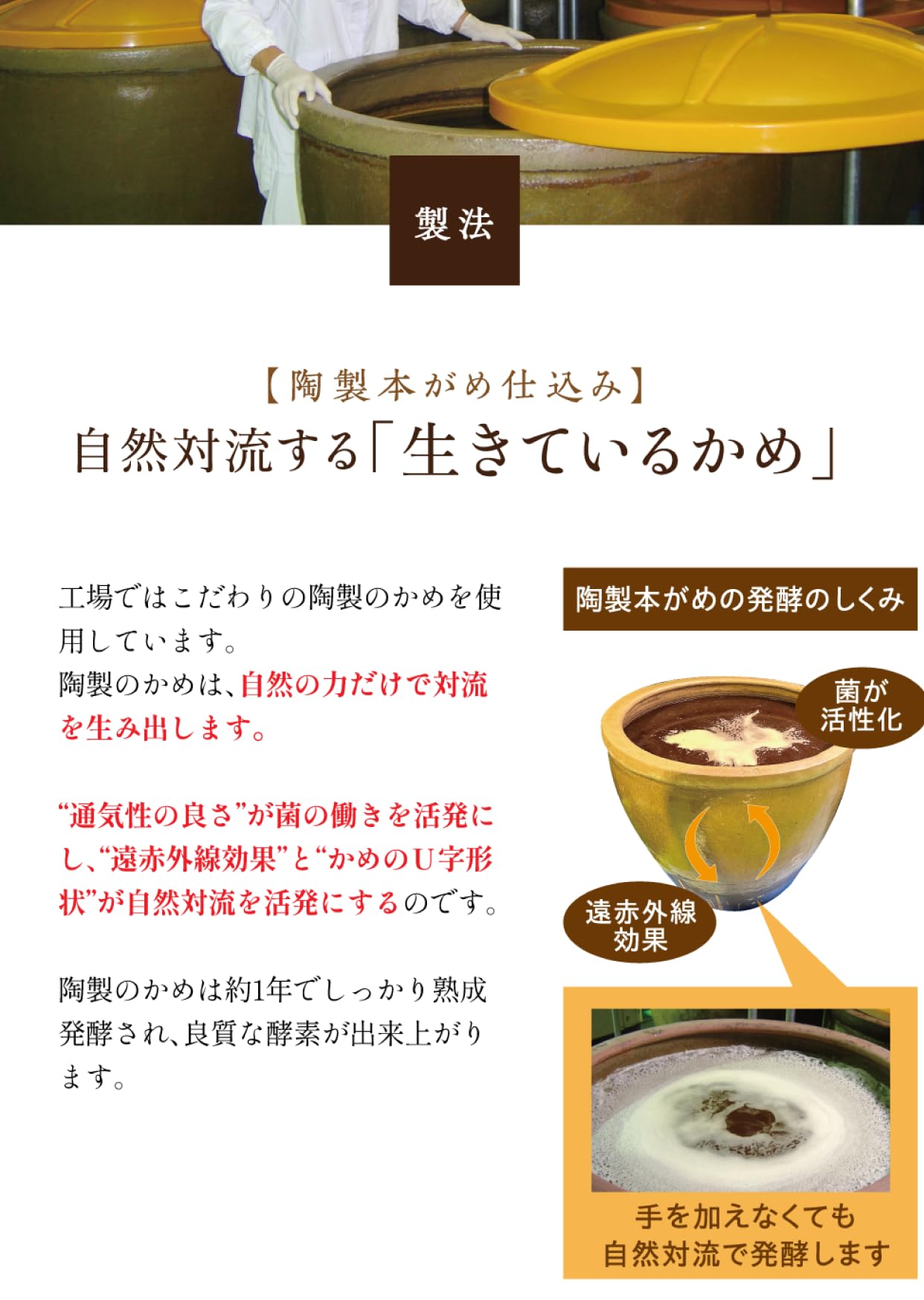 Amazon | やずやグループ九州自然館 カラダよろこぶ酵素 ペースト 
