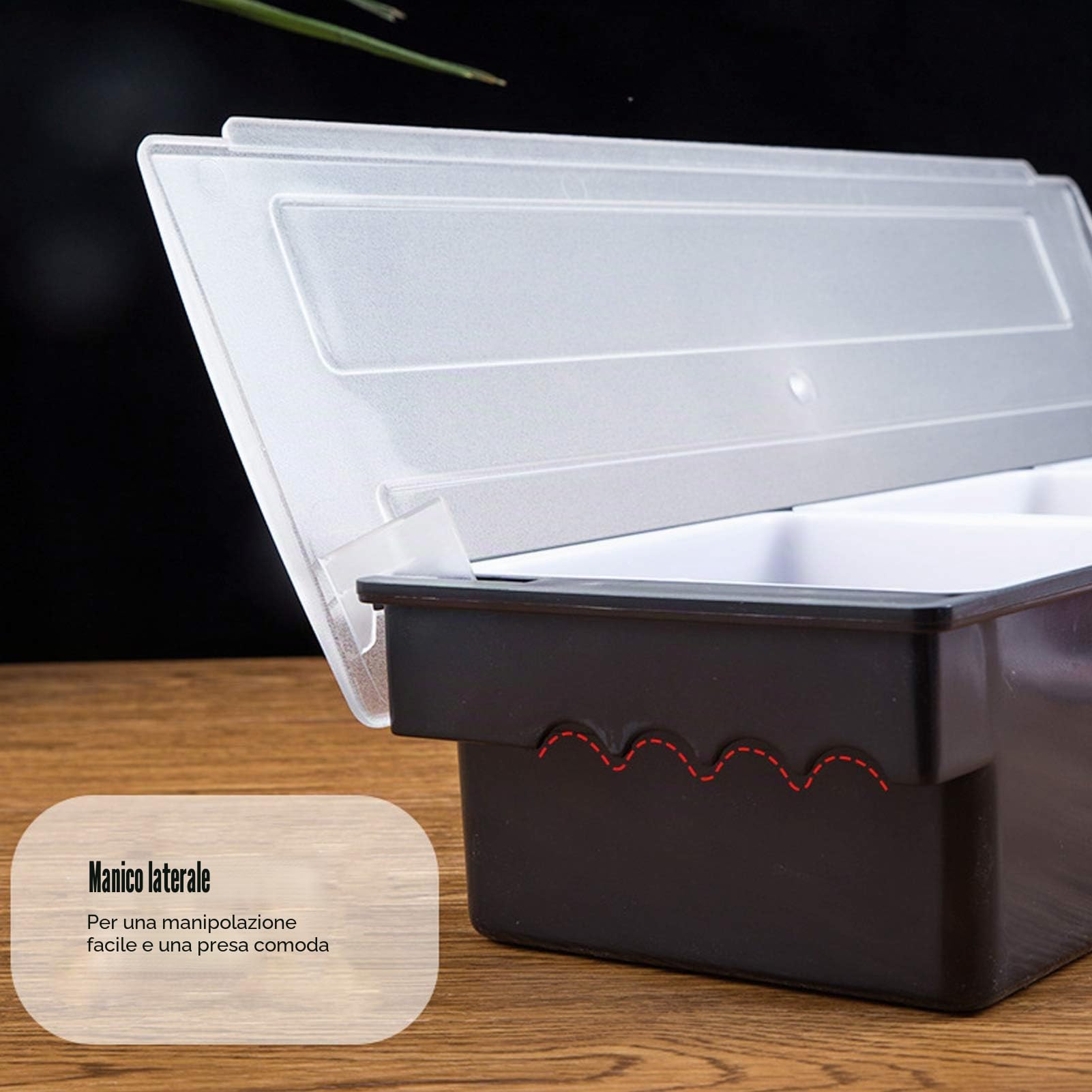 Scatola Per Condimenti Con Coperchio, Dispensatore Di Condimenti A 6 Scomparti, Vassoio Per Frutta Contorno E Condimento Porta Ingredienti Da Cucina, L