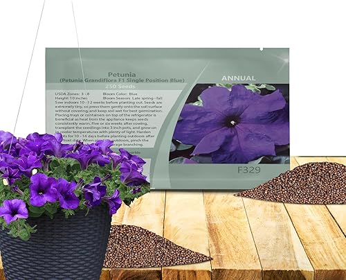 Outsidepride Blue Petunia Grandiflora Seeds - 500 unidades. Semillas de flores anuales, compactas y versátiles para plantar flores vibrantes de bajo