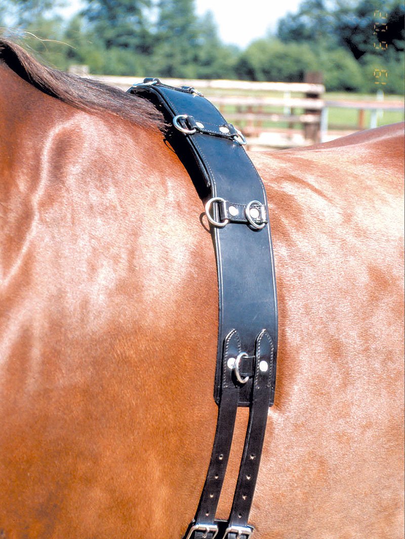 Longiergurt Leder 12 Ring, schwarz Lederlongiergurt Pferd longieren