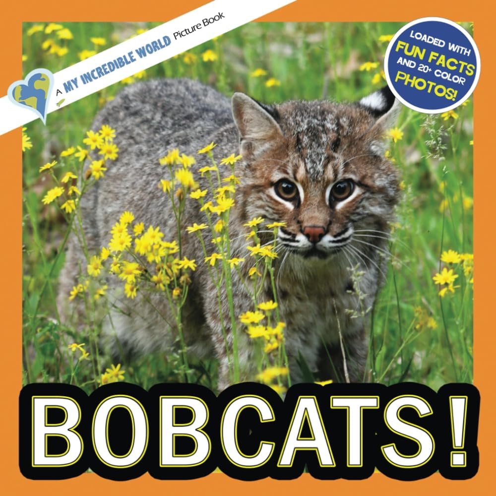 Bobcats!: A My Incredible World Picture Book for Children (My Incredible World: Nature and Animal Picture Books for Children)