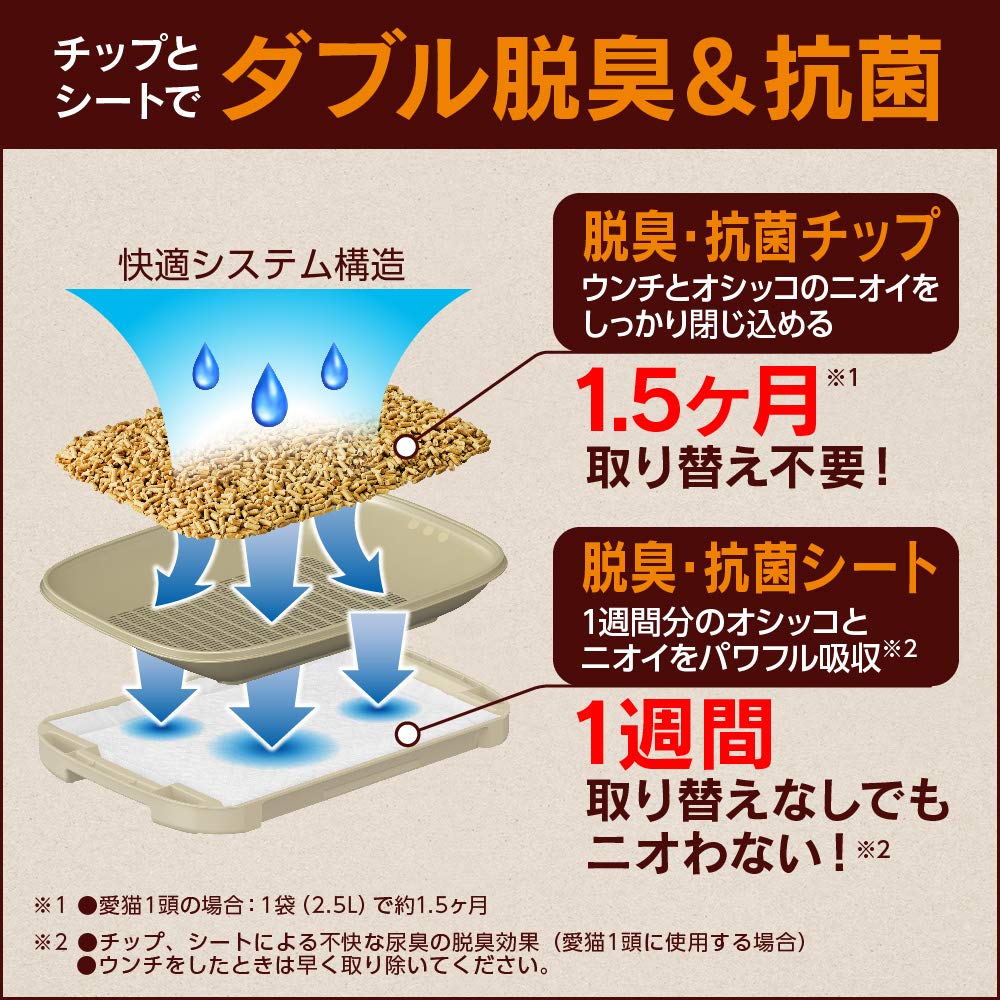 Amazon | 【Amazon.co.jp限定】 花王 猫用トイレ本体 ニャンとも清潔