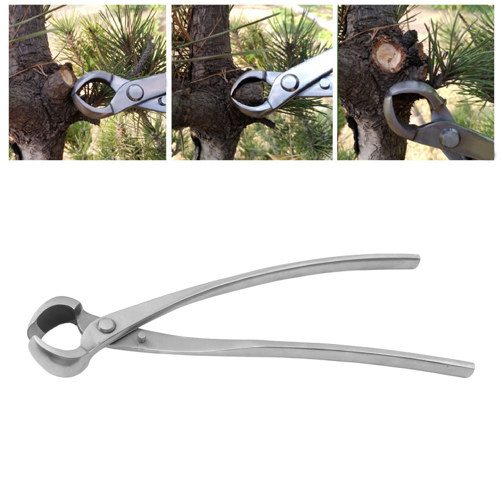 Bonsai Tree Knob Cutter, Bonsai Concave Branch Cutter Chrome Alloy Round Tree Knob Cutter Pruning Trimmer for Garden