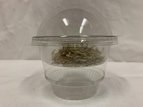 Miniatura 4 de Vasos de plástico transparente de 8 onzas con taza interior y tapas (150 unidades) tazas de postre de 8 onzas con tapas, vasos de plástico para