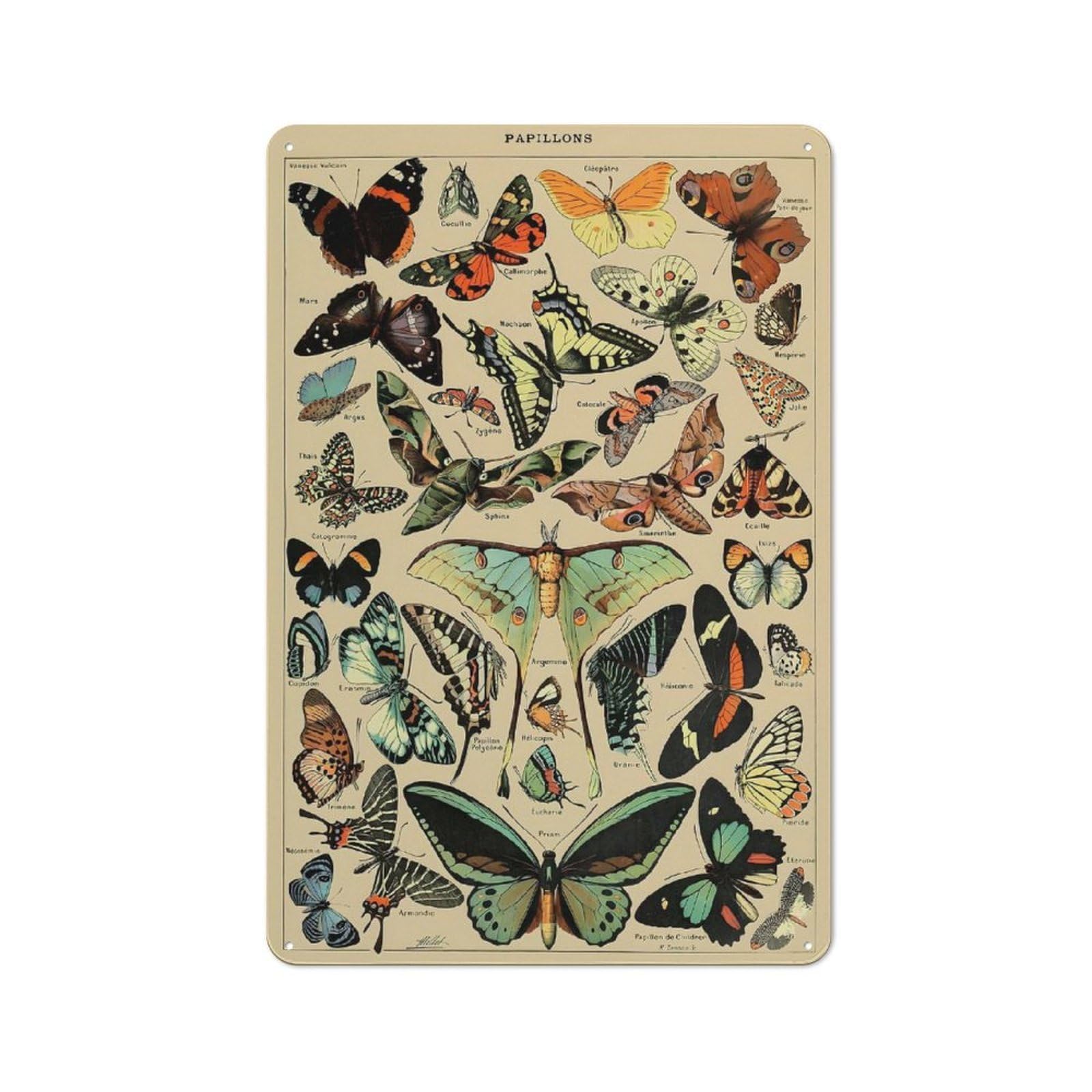 Junmoney Style-6 Adolphe Millot Butterfly Retro Metal Wall Decor 30X20cm, Vintage Metal Sign For Cafe, Pub, Workshop Or Home Bar