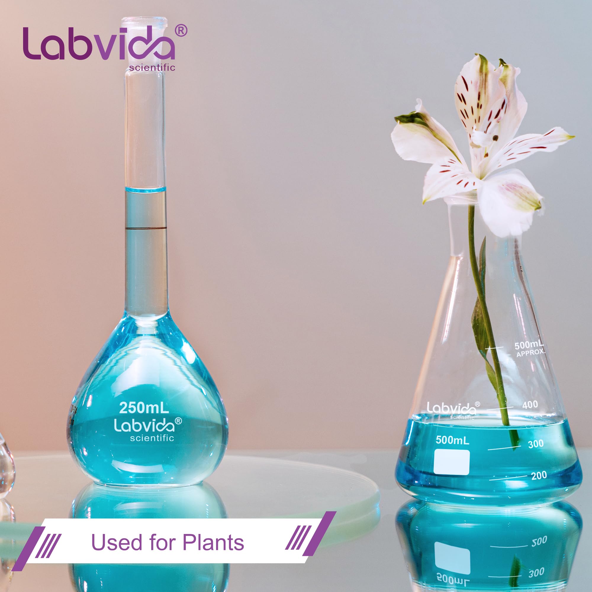 Erlenmeyer Flask, 500 Ml, Borosilicate Glass With PTFE Screw Cap Conical Shape White Graduations - View #2