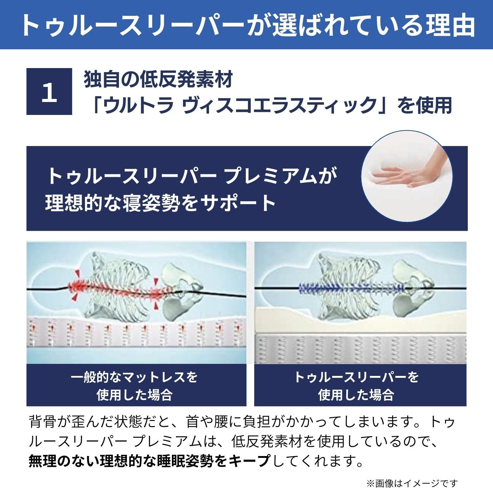 Amazon｜【公式】トゥルースリーパー プレミアム クイーン