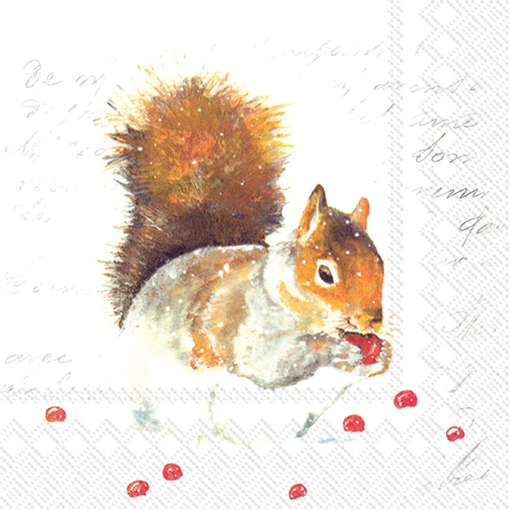 Boston International IHR Lunch Paper Napkins, 6.5" X 6.5", Hazel