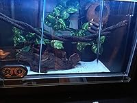 Review Image by Mama2019 Mama2019