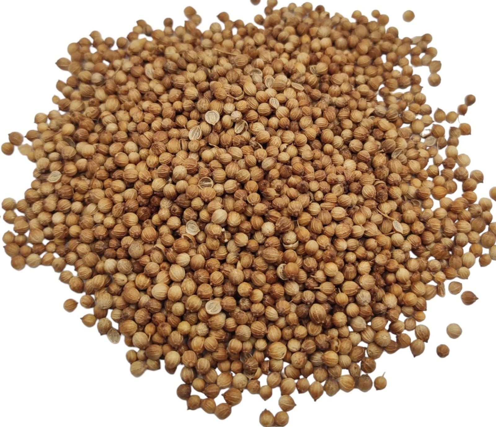 Graines De Coriandre Entières 85g - 1.95kg Coriandrum sativum (1950 grammes)