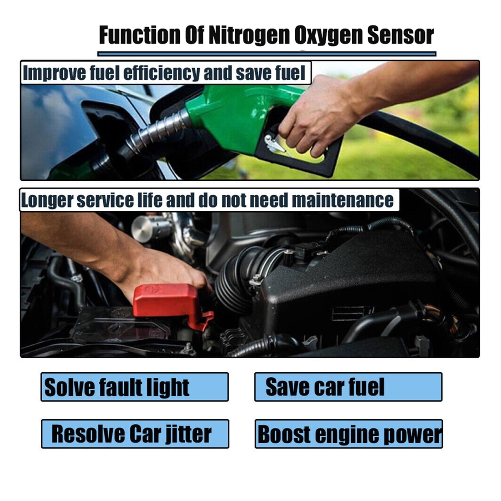 Amazon.com: 11787512985 11787530282 11787530285 11787547313 Front  