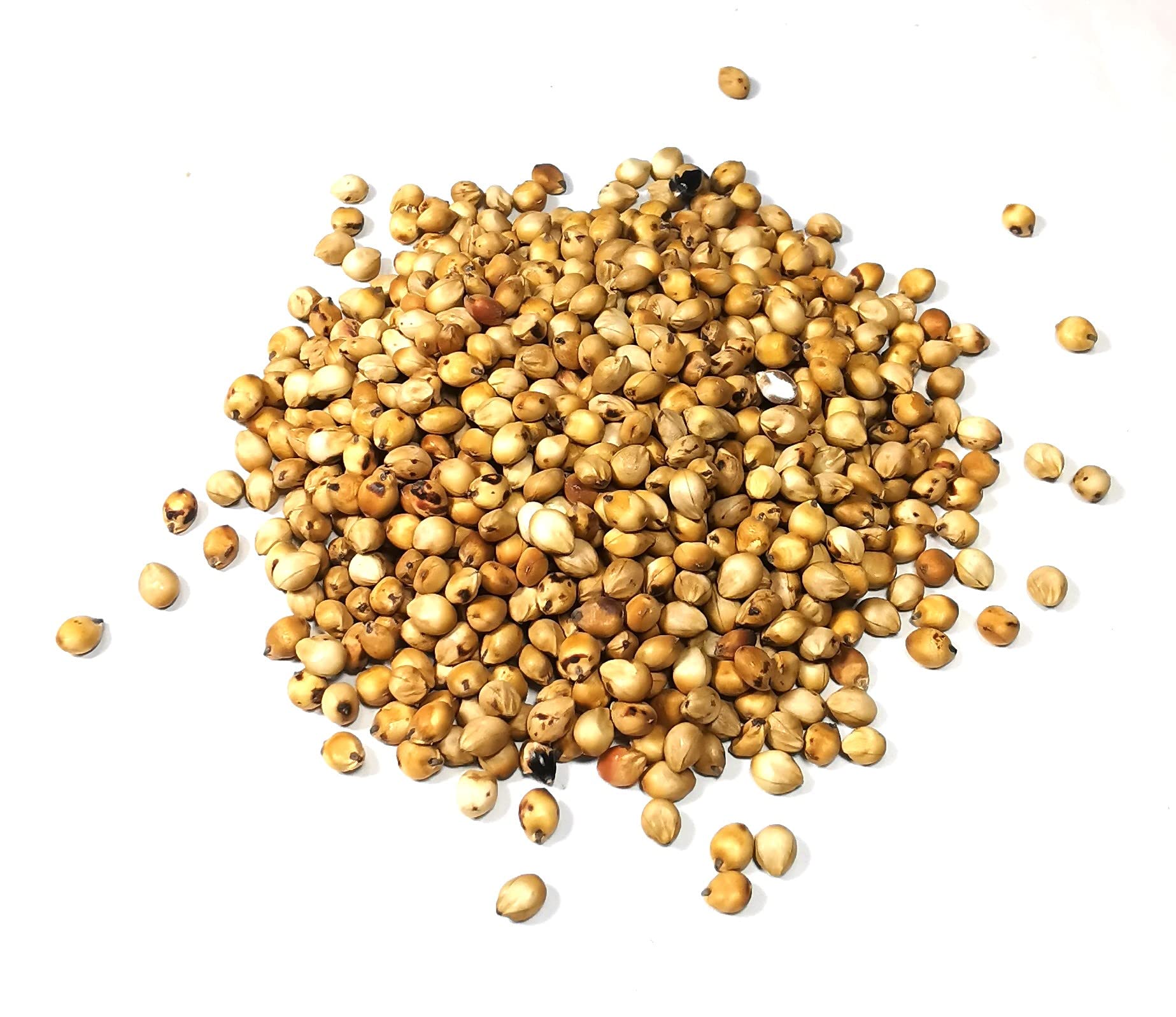 Pasto de Sudan 5kg de grano. Herbaceo forrajero de alto tamaño y cremiento rapido y vigoroso