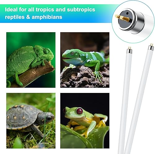 Miniatura 6 de LUCKY HERP Paquete de 2 luces para reptiles T5 UVB 5.0 de 24 W, tubo de lámpara fluorescente UVA UVB, bombilla de iluminación UVB para tortugas,