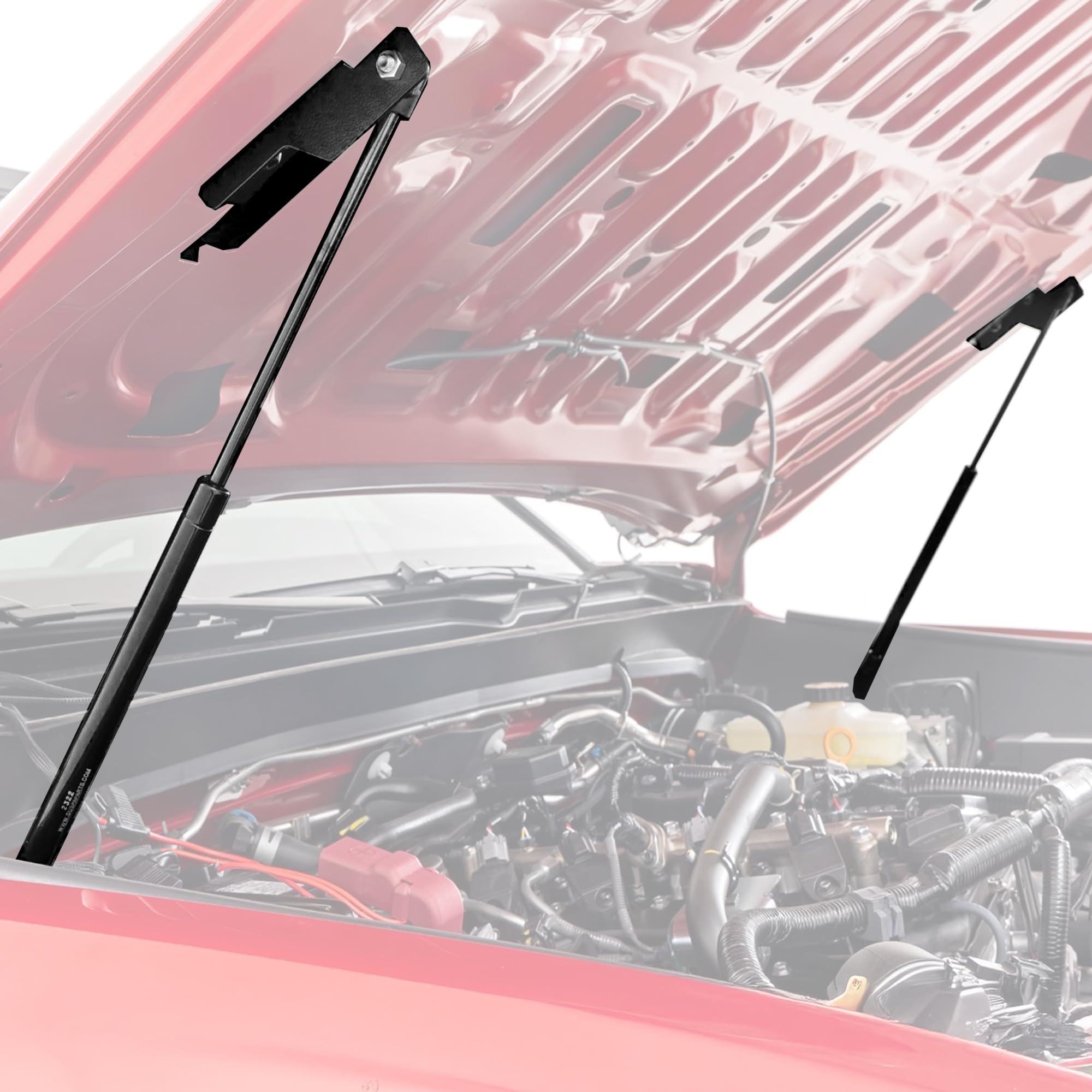 Amazon.com: Rough Country Hydraulic Hood Assist for Toyota Tacoma