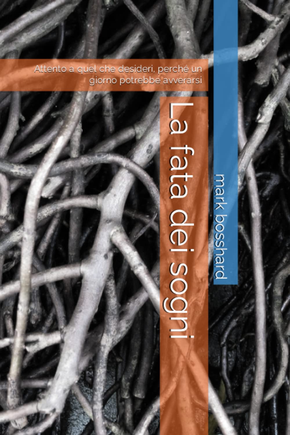 La fata dei sogni: Attento a quel che desideri, perché un giorno potrebbe avverarsi (Due passi nell'Oltre)